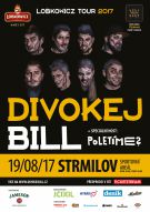 Divokej Bill